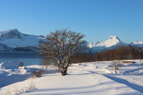 Utsikt mot fjorden og Sjunkhatten Nasjonalpark. 
Vinter med snø og sol